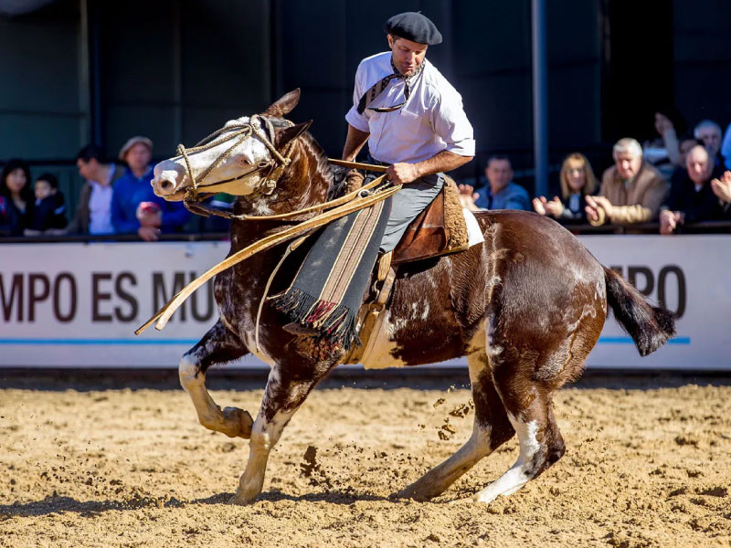 Exposición Rural en Buenos Aires - 2025 