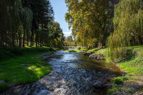 Pasajes en micro a San Luis
